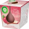 geurkaars Appel en Kaneel < Air Wick Discount