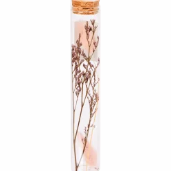 Buisje met droogbloemen < Action Best