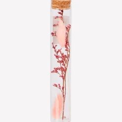 Buisje met droogbloemen < Action Best