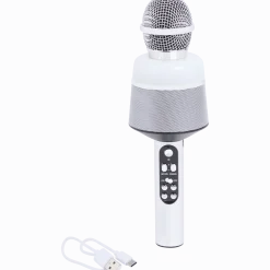 Draadloze karaokemicrofoon met licht < Action Outlet