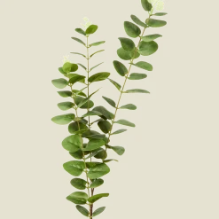 Excellent Flowers kunst-eucalyptus op steel < Action Sale