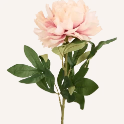 Excellent Flowers kunstpioenroos op steel < Action