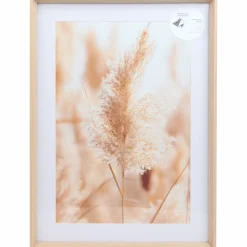 Fotolijst met passe-partout < Action Clearance