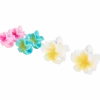 Haarclips < Action Outlet