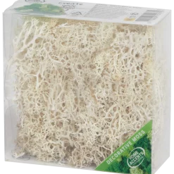 Home Accents decoratief mos < Action Discount