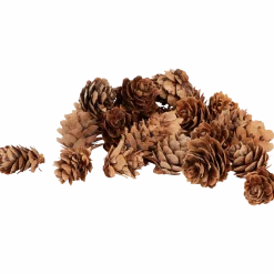 Home Accents decoratiemateriaal < Action New