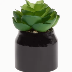 Home Accents kunstvetplantje in pot < Action Online