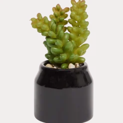 Home Accents kunstvetplantje in pot < Action Online