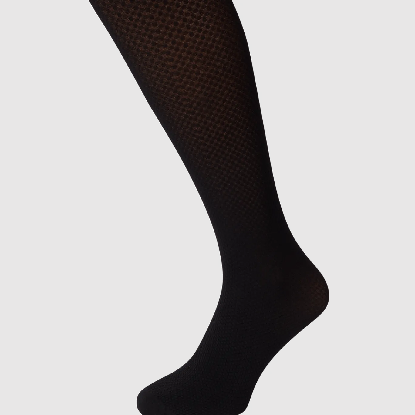 fashion panty < Kate Legwear Discount