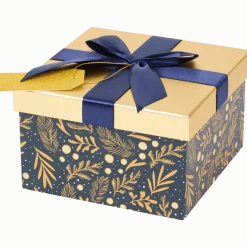 Kerst cadeaudoos < Action Outlet
