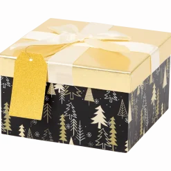Kerst cadeaudoos < Action Outlet