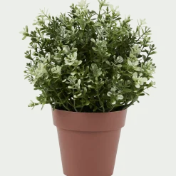 Kruidenplant in pot < Action Online