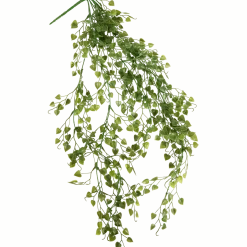 Kunsthangplant < Action