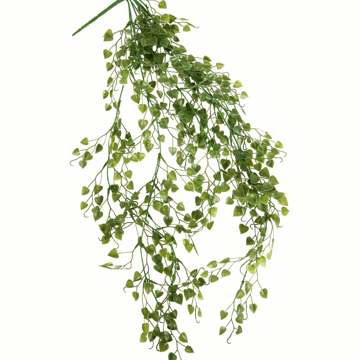 Kunsthangplant < Action
