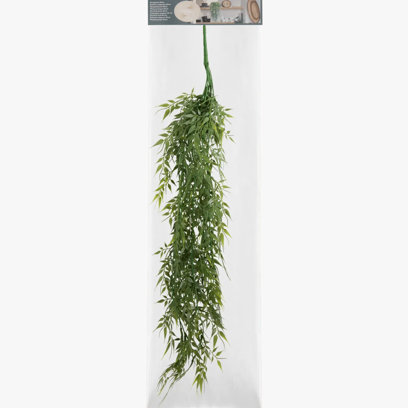 Kunsthangplant < Action