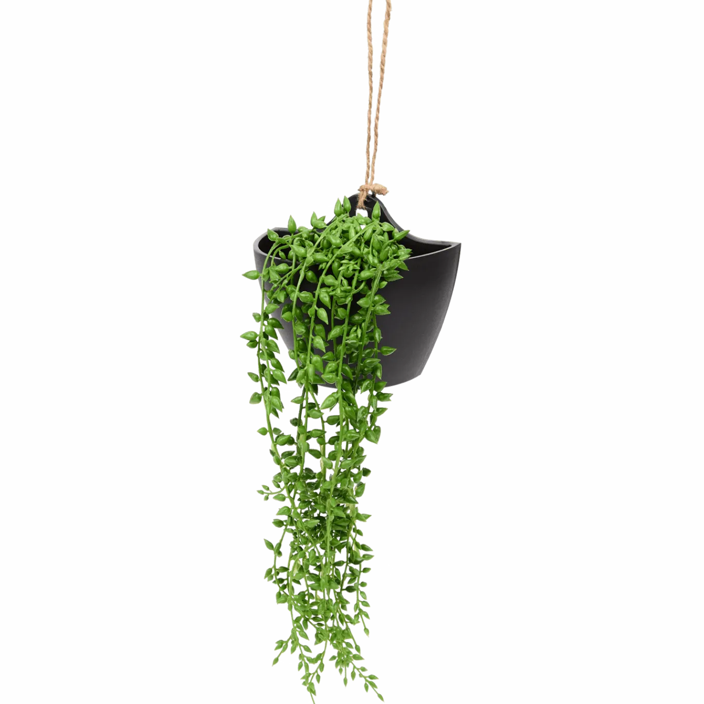 Kunsthangplant < Action Discount