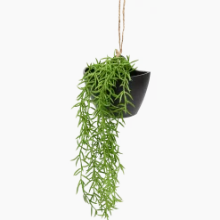Kunsthangplant < Action Discount
