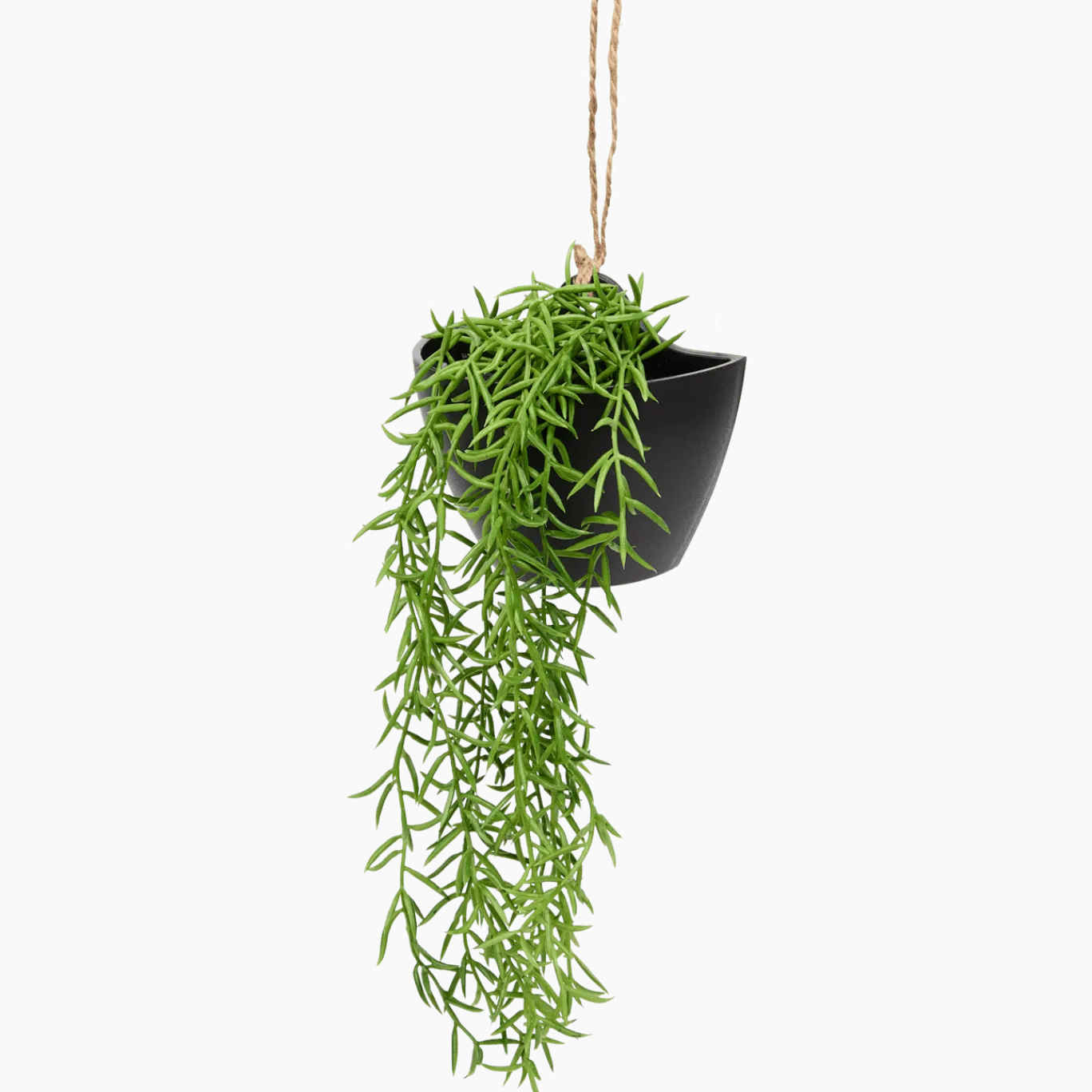 Kunsthangplant < Action Discount