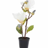 Kunstmagnolia in pot < Action Online