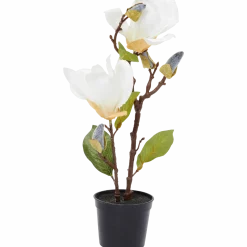 Kunstmagnolia in pot < Action Online