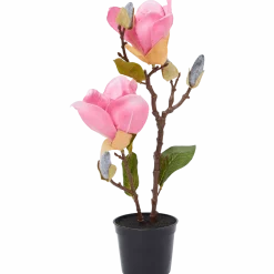Kunstmagnolia in pot < Action Online