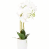 Kunst orchidee in pot < Action New