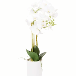 Kunst orchidee in pot < Action New