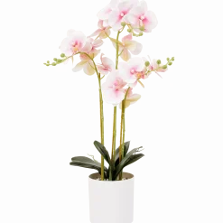 Kunst orchidee in pot < Action New