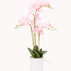 Kunst orchidee in pot < Action New