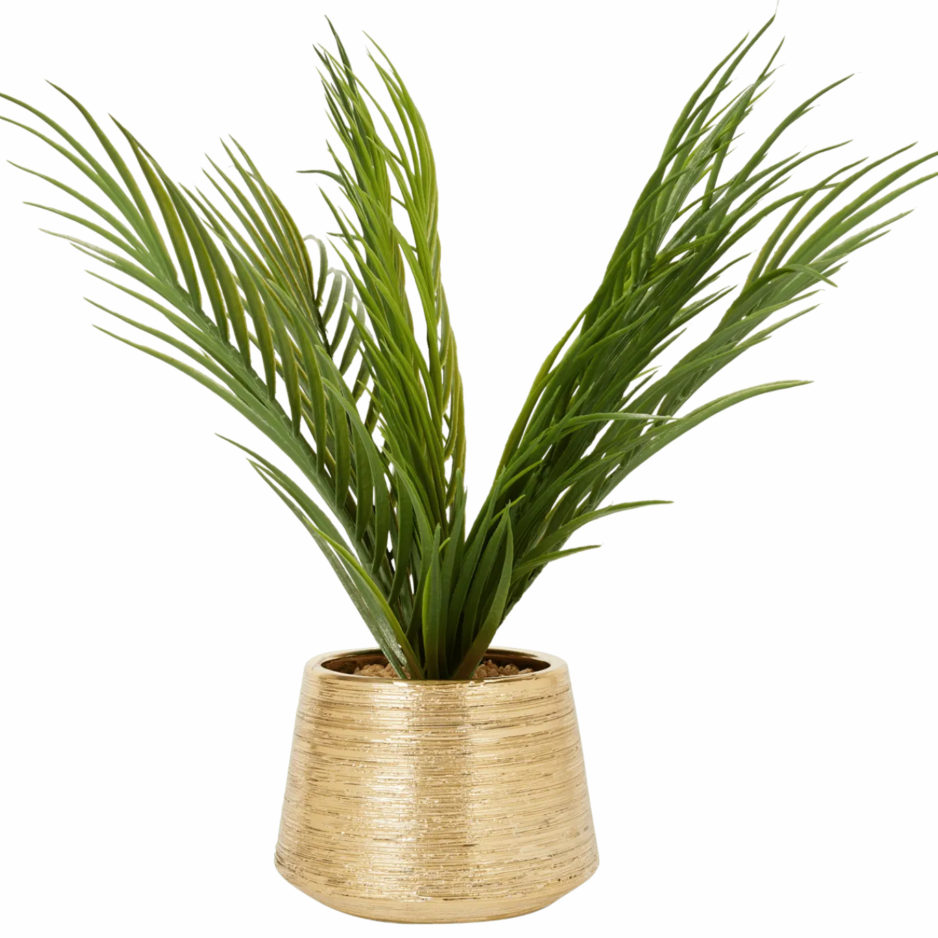 Kunstpalm in pot < Action