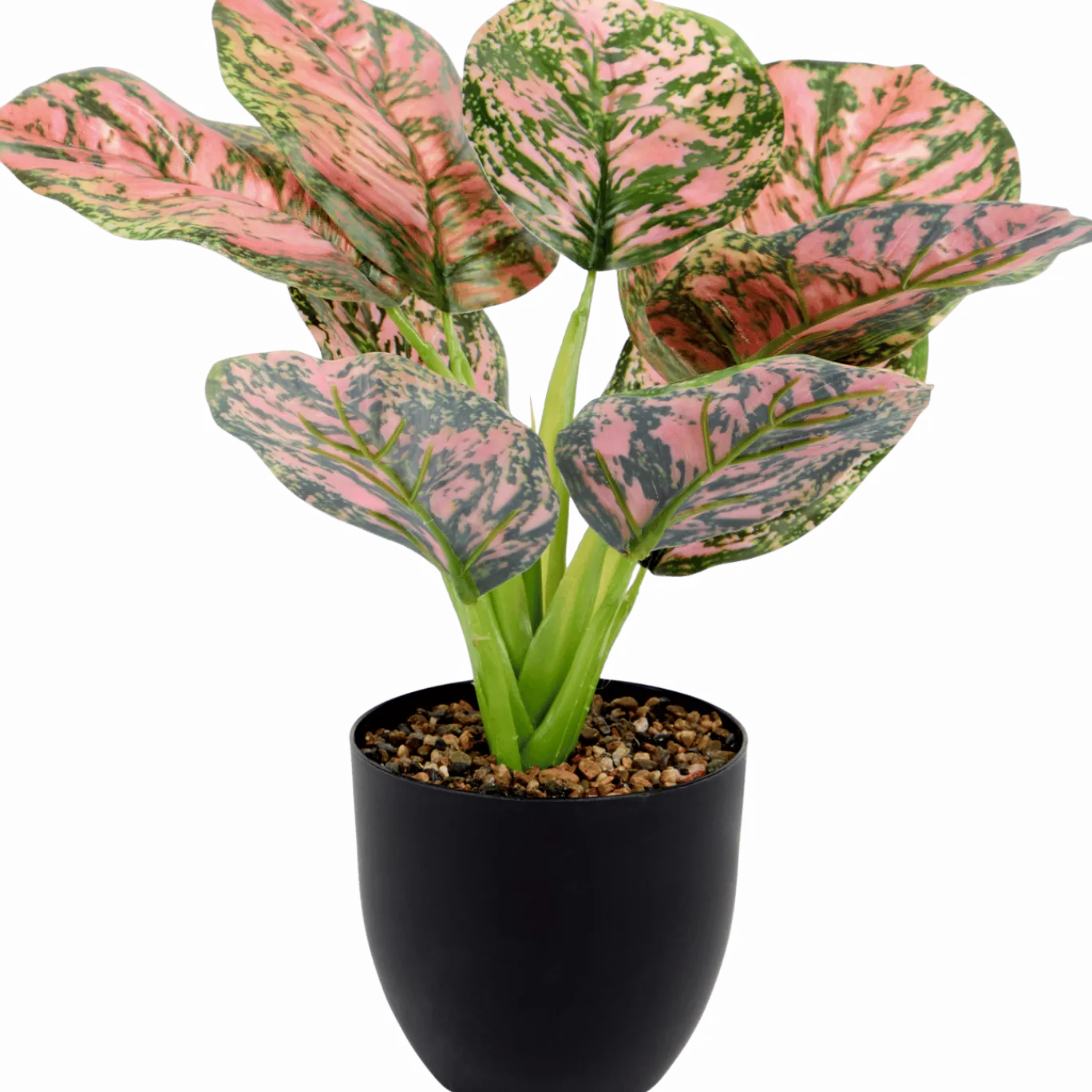 Kunstplant < Action Best