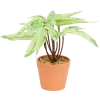 Kunstplant in pot < Action Hot