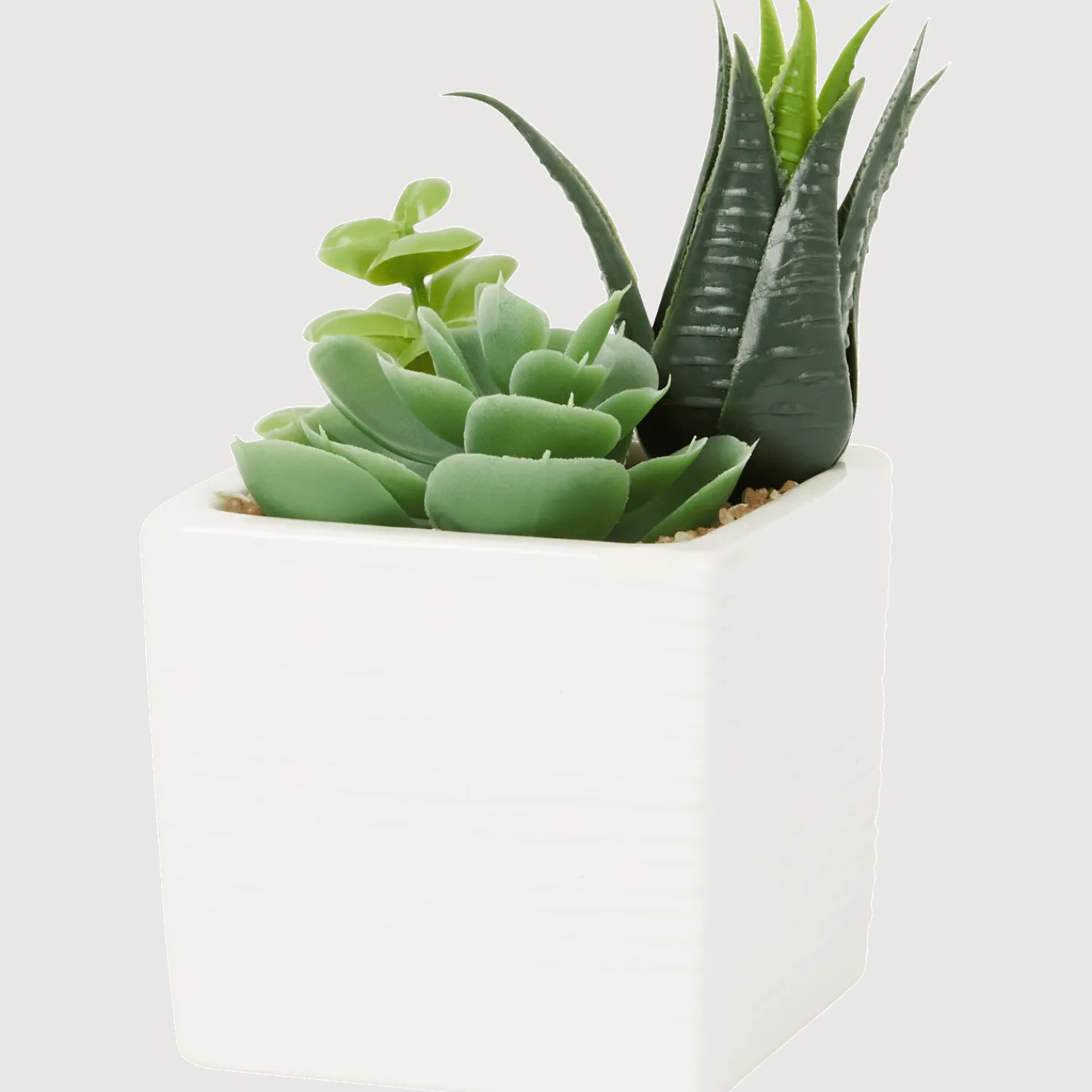 Kunst-vetplant in pot < Action