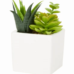 Kunst-vetplant in pot < Action