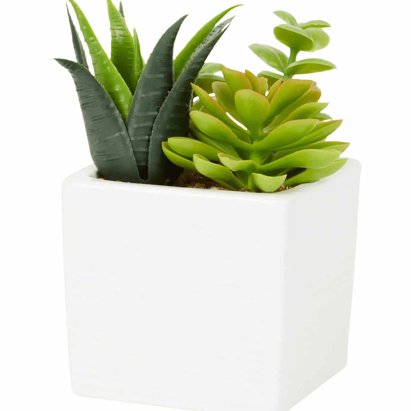 Kunst-vetplant in pot < Action