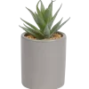Kunst vetplant in pot < Action New