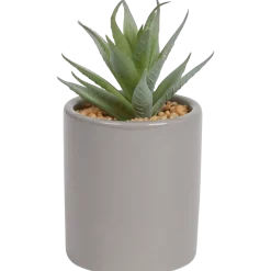 Kunst vetplant in pot < Action New