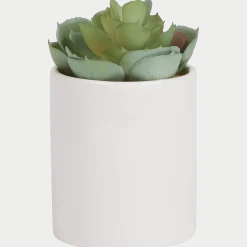Kunst vetplant in pot < Action New