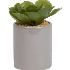 Kunst vetplant in pot < Action New