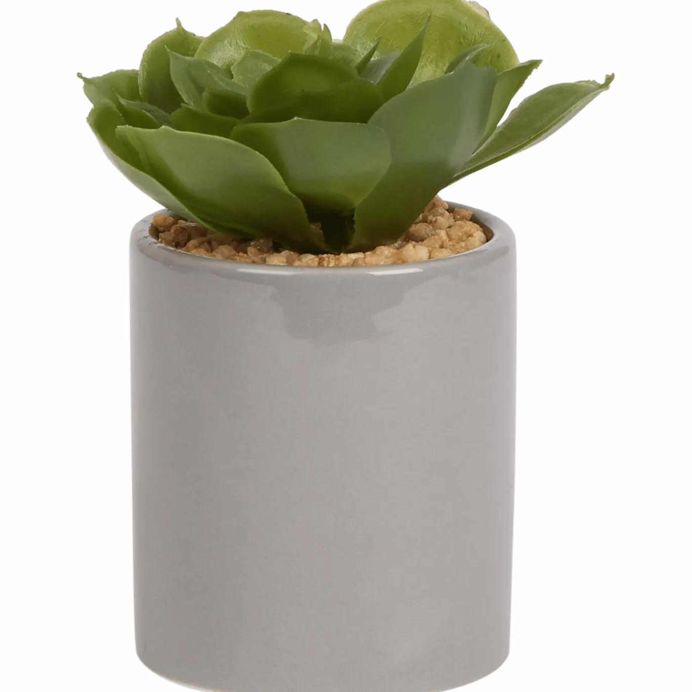 Kunst vetplant in pot < Action New