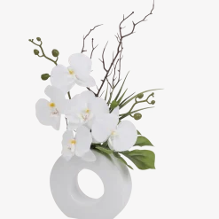 Orchidee in vaas < Action Discount
