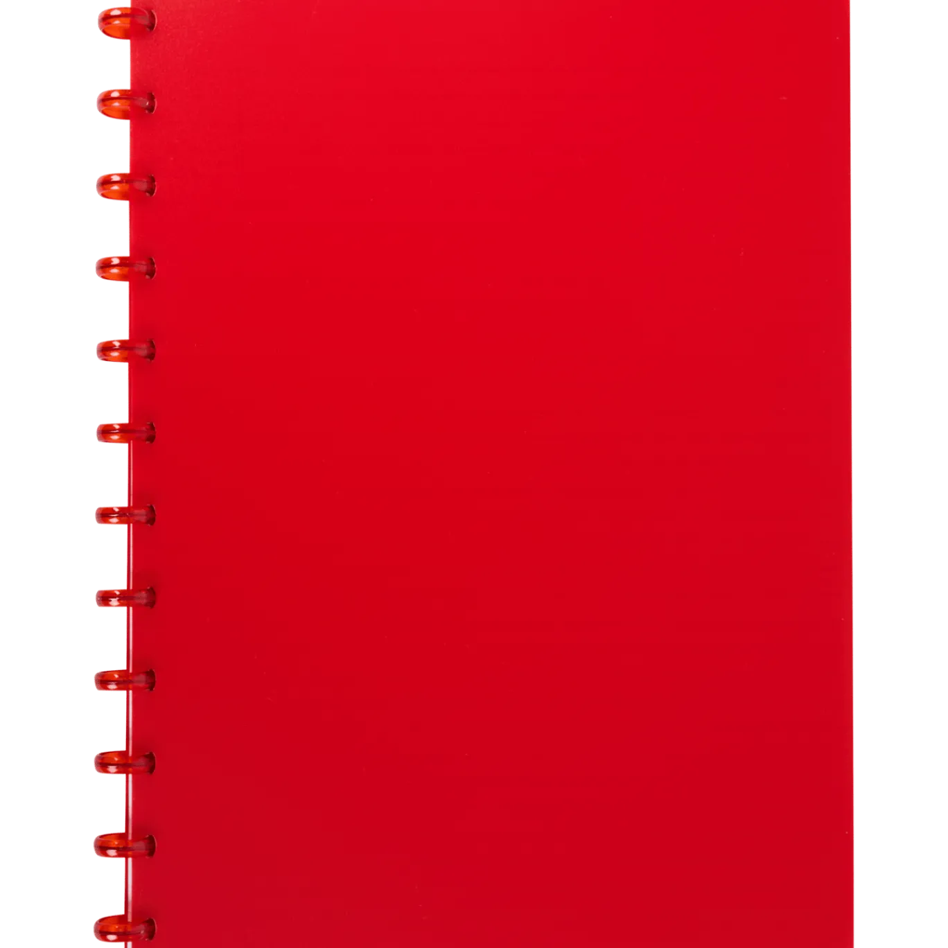 Ringschrift A4 < Action New