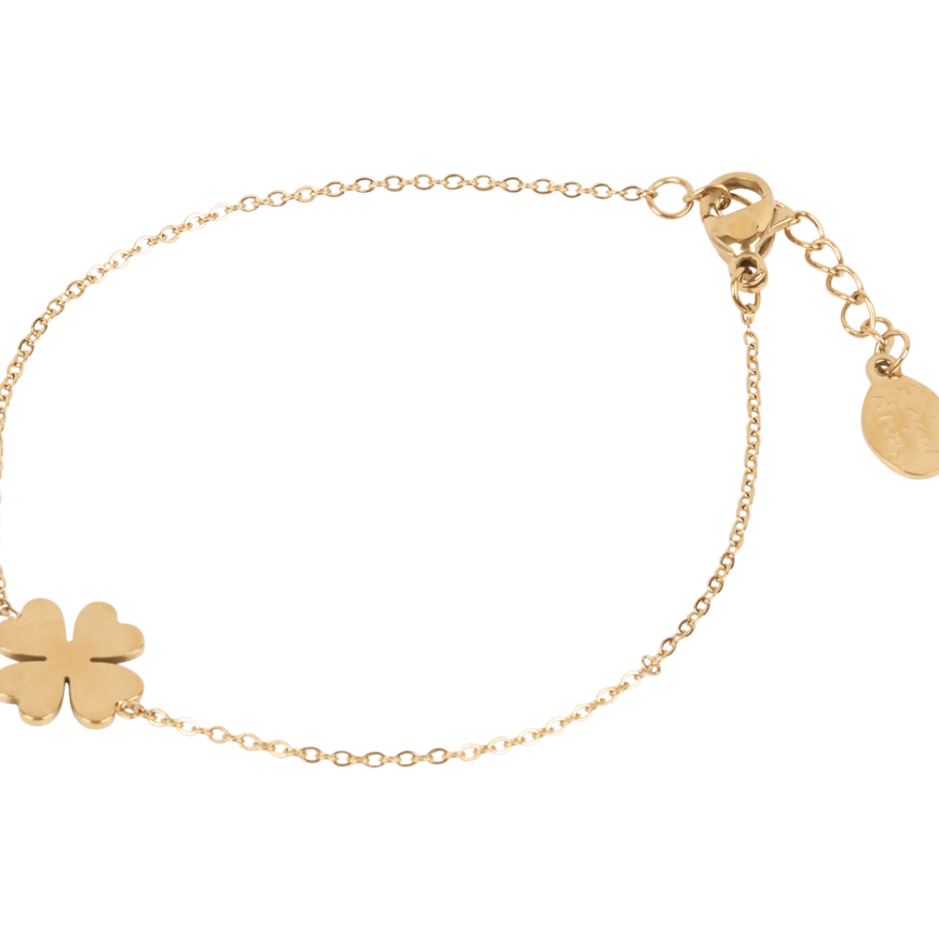 Royal Divas roestvrijstalen armband < Action Hot