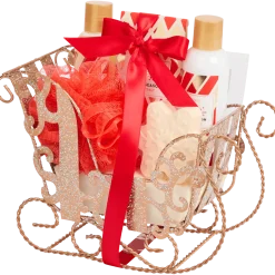 Wellness giftset in slee < Action Discount
