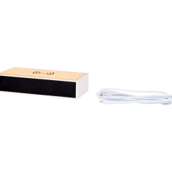 Xtronic wekker met Qi-lader < Action